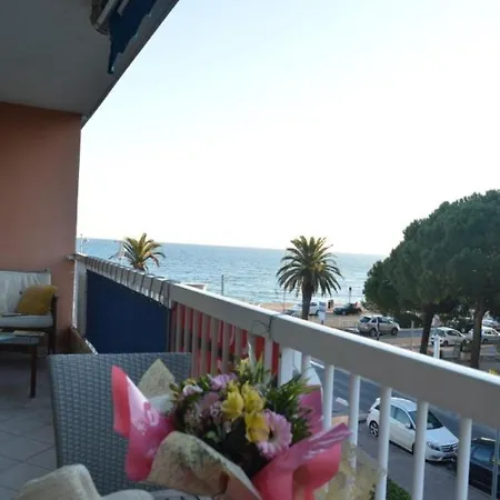Mediterranee 1 1 Apartment Fréjus